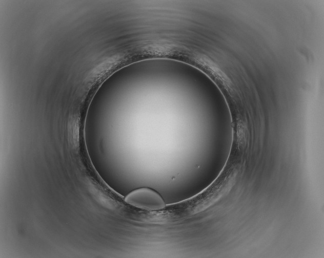 X0000113960493200909251403