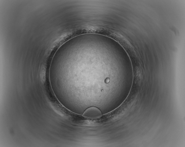 X0000113960496200909251403