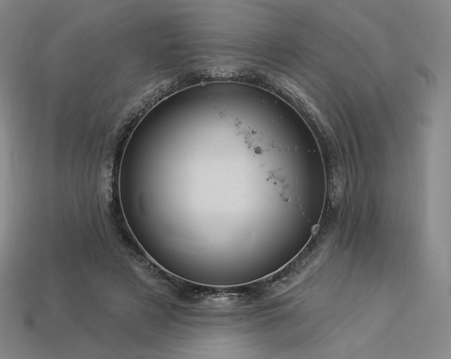 X0000113960497200909251403