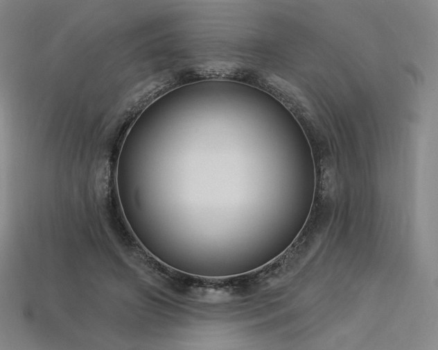 X0000113960498200909251403