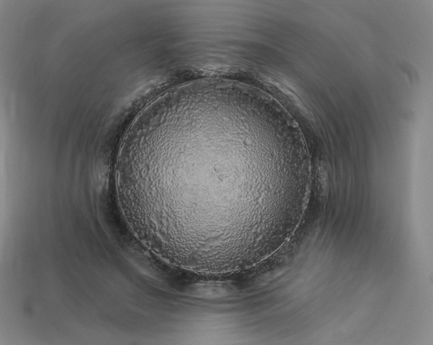 X0000113960499200909251403