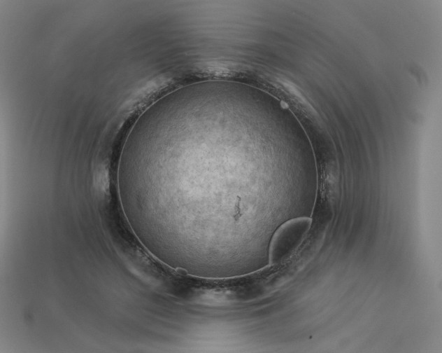 X0000113960500200909251403