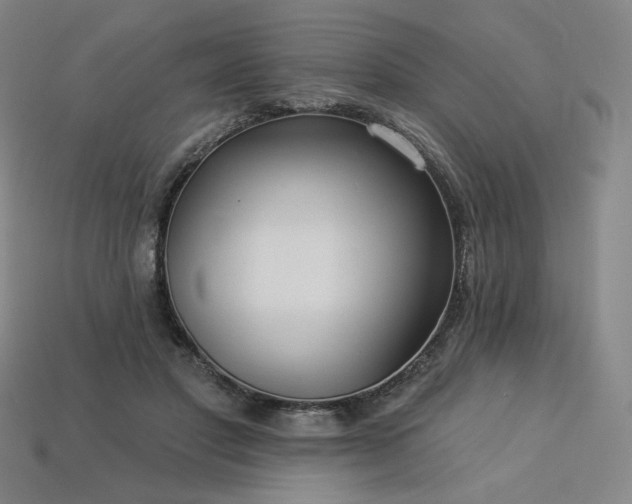 X0000113960501200909251403