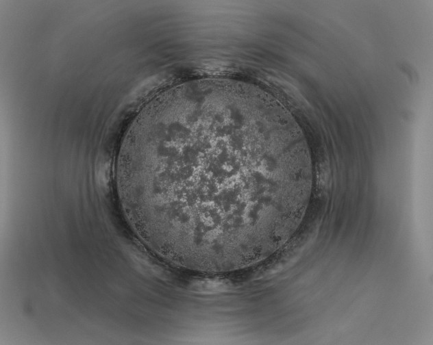 X0000113960503200909251403