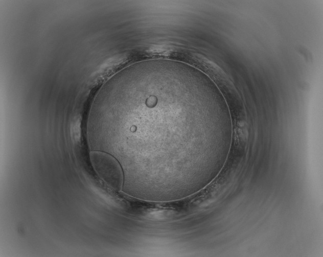 X0000113960504200909251403