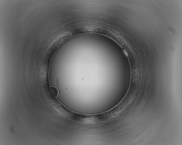 X0000113960505200909251403