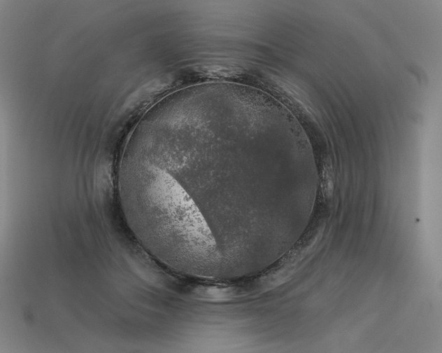 X0000113960506200909251403