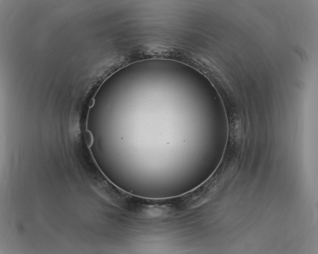 X0000113960508200909251403