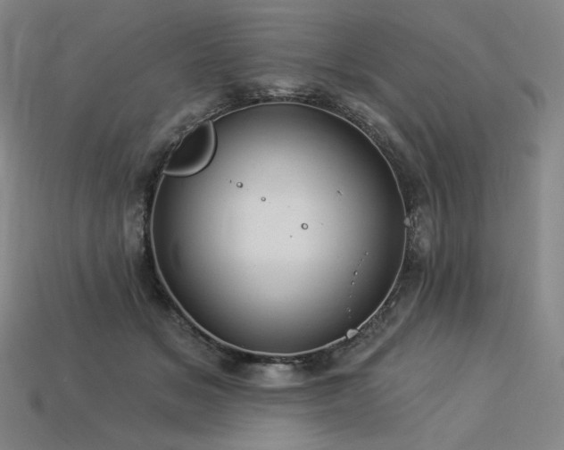 X0000113960509200909251403