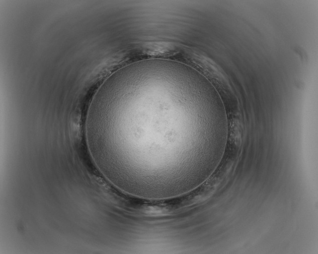 X0000113960510200909251403