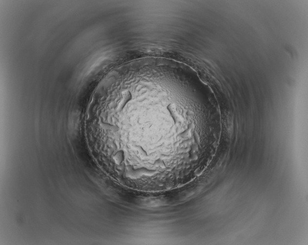 X0000113960511200909251403