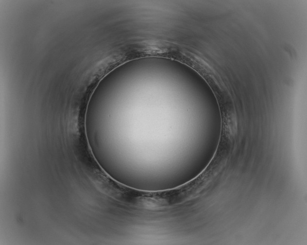 X0000113960512200909251403