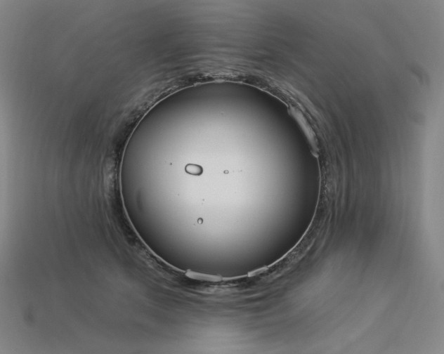 X0000113960513200909251403