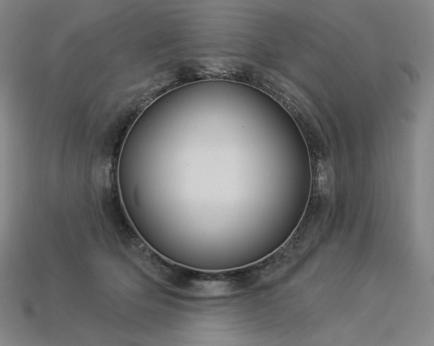 X0000113960514200909251403