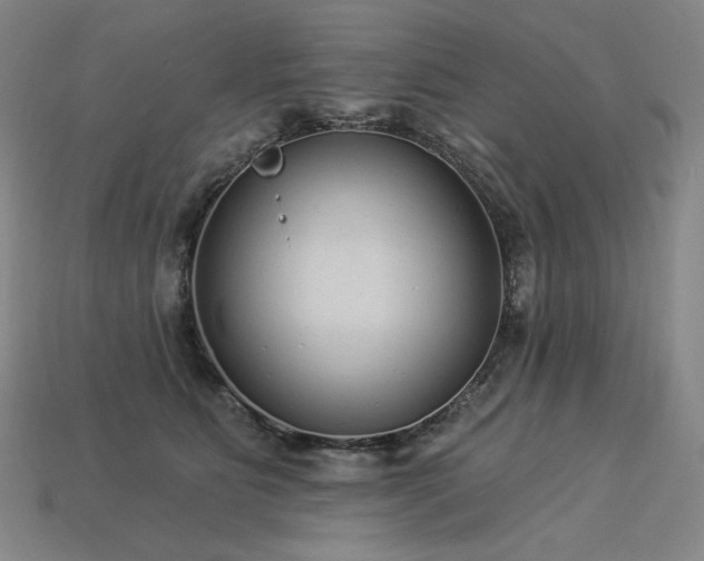 X0000113960515200909251403