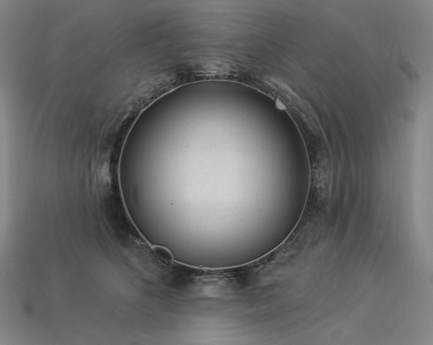 X0000113960516200909251403