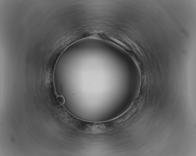 X0000113960517200909251403