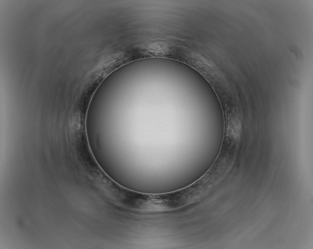 X0000113960518200909251403