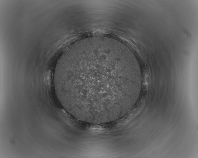 X0000113960519200909251403