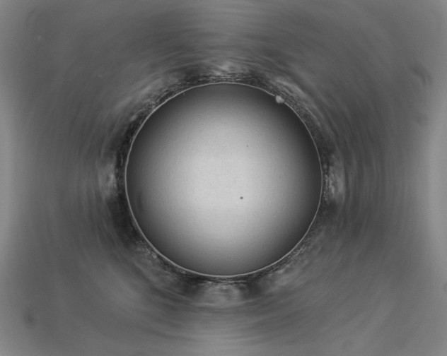 X0000113960520200909251403