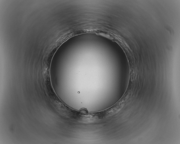 X0000113960521200909251403