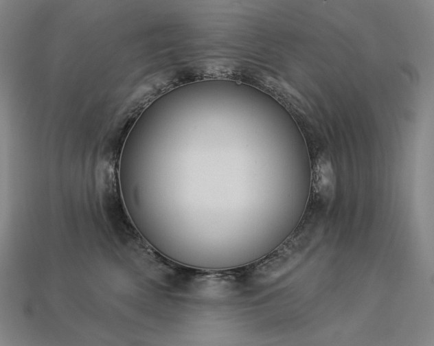 X0000113960522200909251403