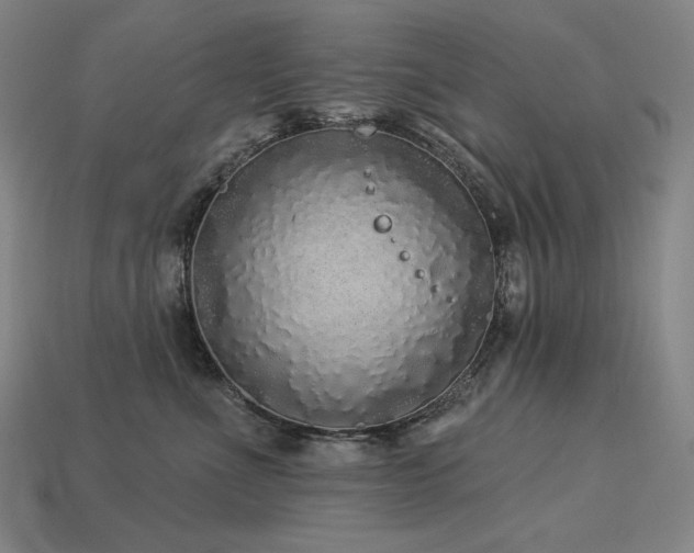 X0000113960523200909251403