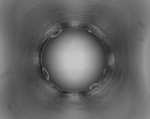 X0000113960524200909251403