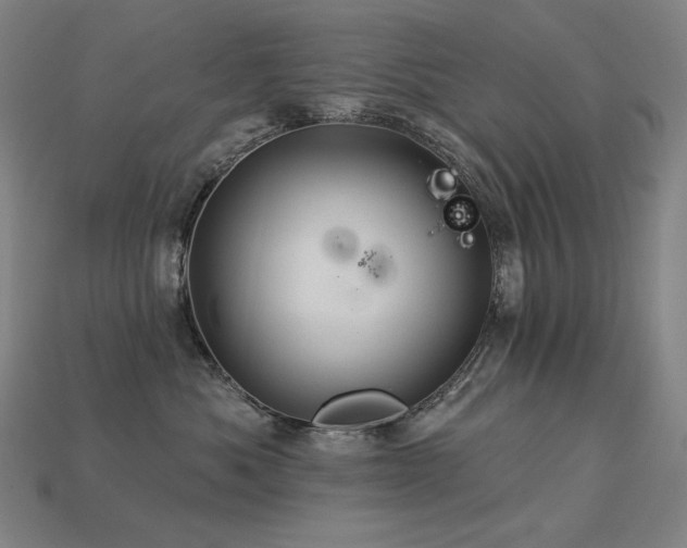 X0000113960525200909251403