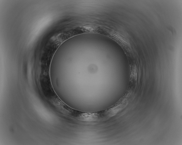 X0000113960526200909251403