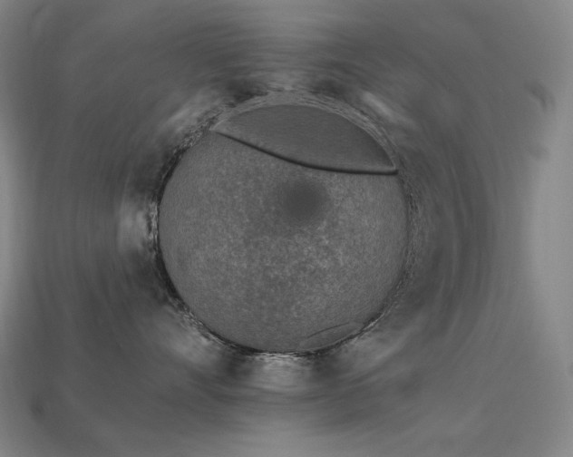 X0000113960528200909251403