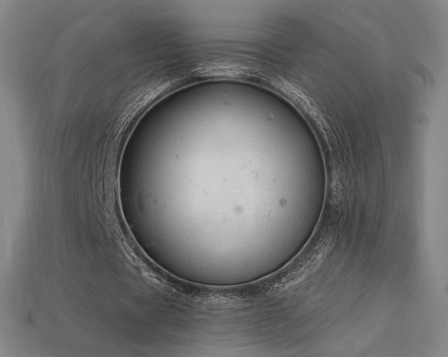 X0000113960529200909251402