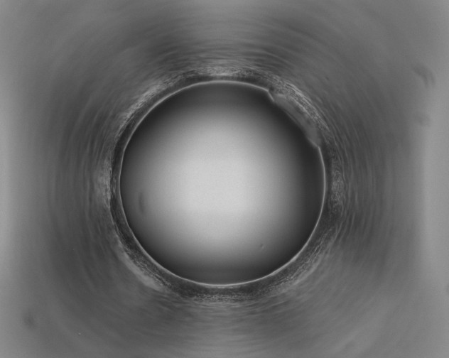 X0000113960530200909251402