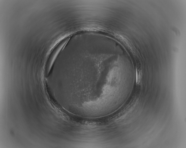 X0000113960531200909251402