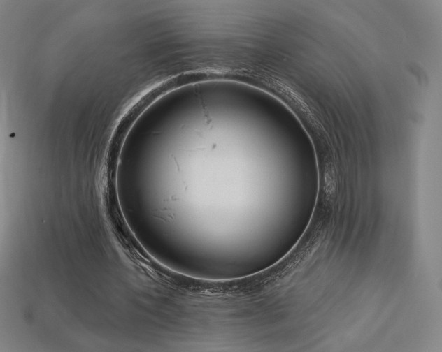 X0000113960532200909251402