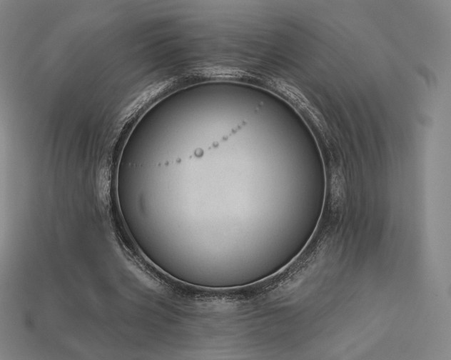 X0000113960533200909251402