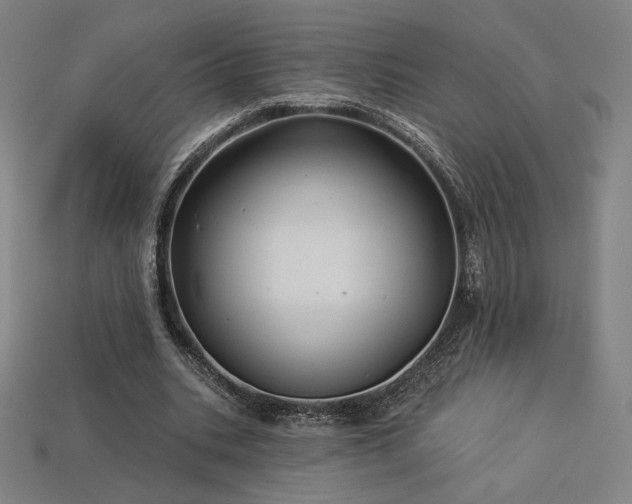 X0000113960535200909251402