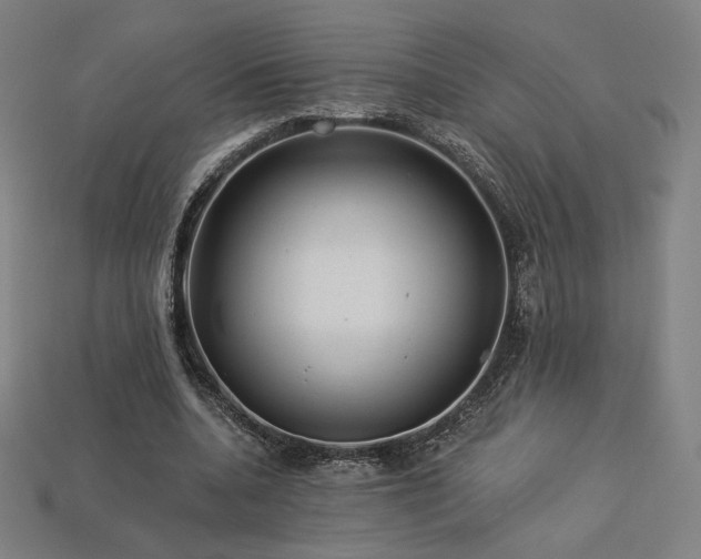 X0000113960536200909251402