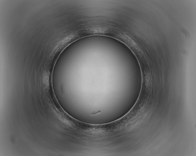 X0000113960537200909251402