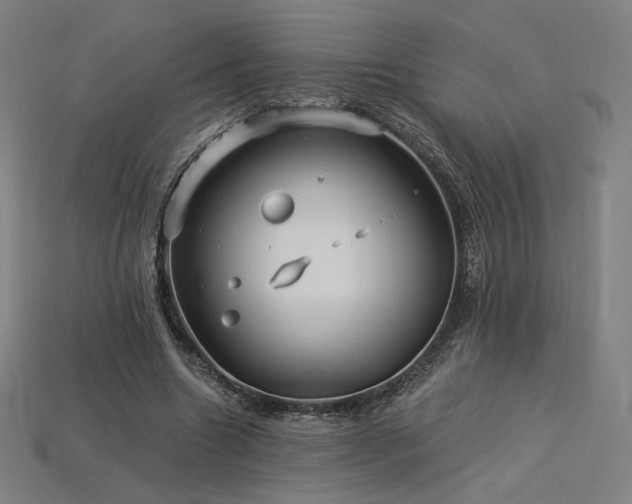 X0000113960538200909251402