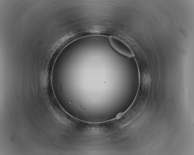 X0000113960540200909251402