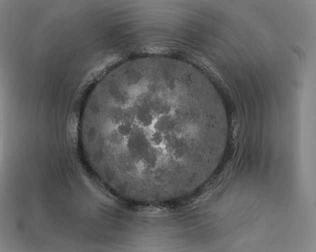 X0000113960542200909251402