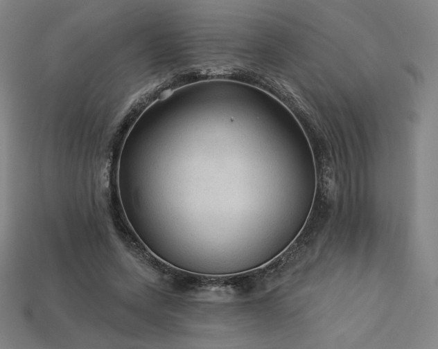 X0000113960543200909251402