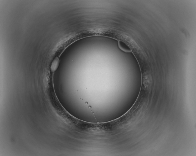 X0000113960544200909251402