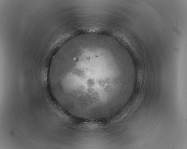 X0000113960545200909251402