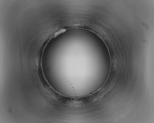 X0000113960546200909251402