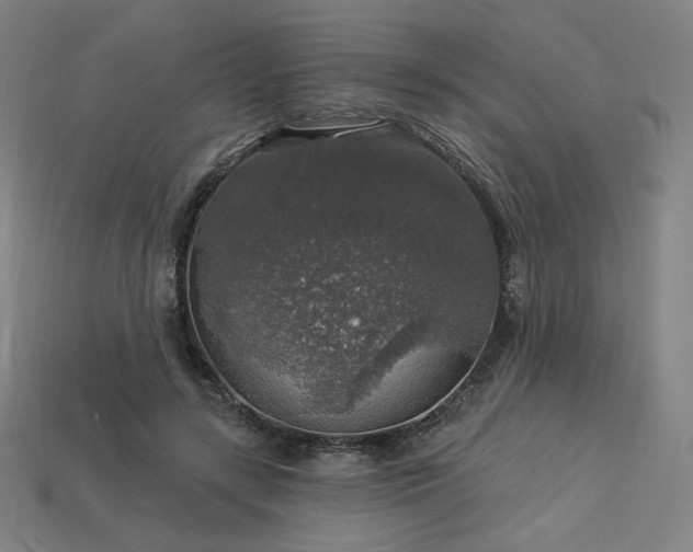 X0000113960547200909251402