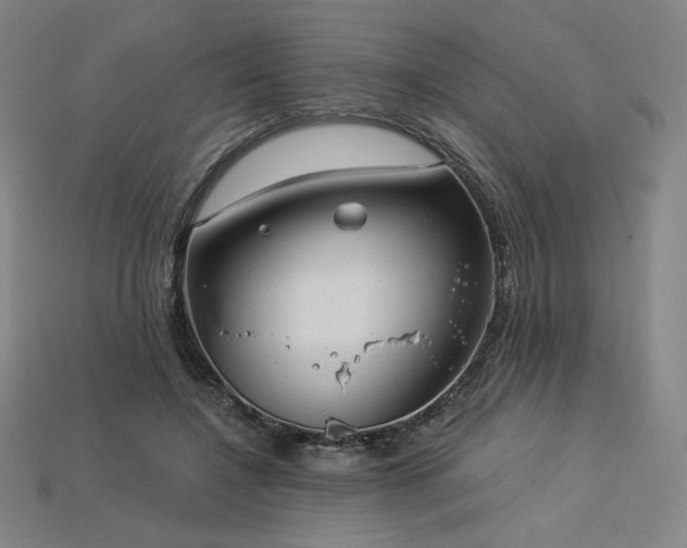 X0000113960548200909251402