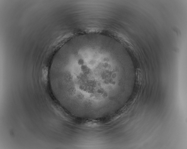 X0000113960550200909251402