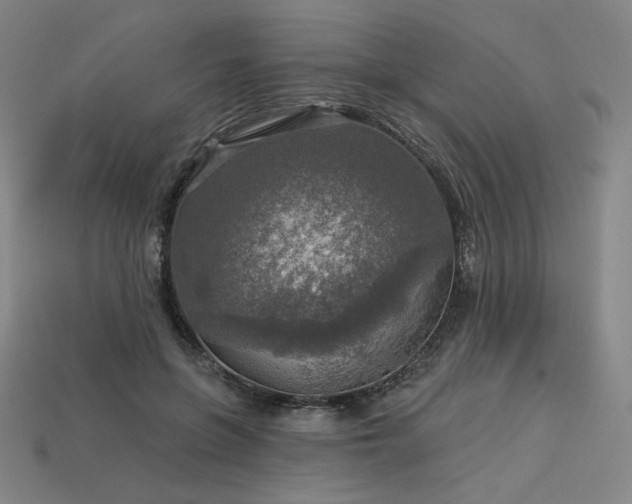 X0000113960551200909251402